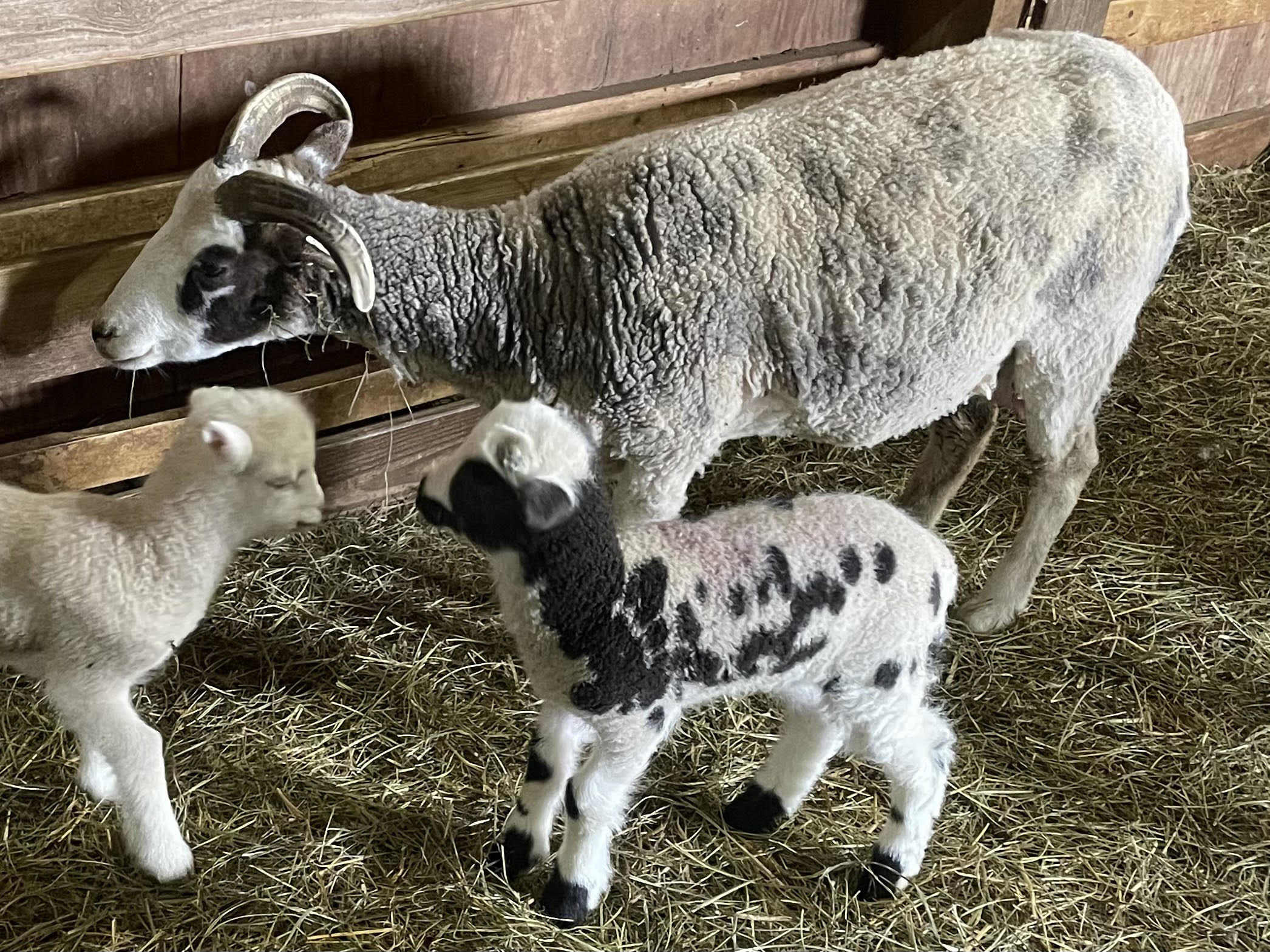 May Newsletter